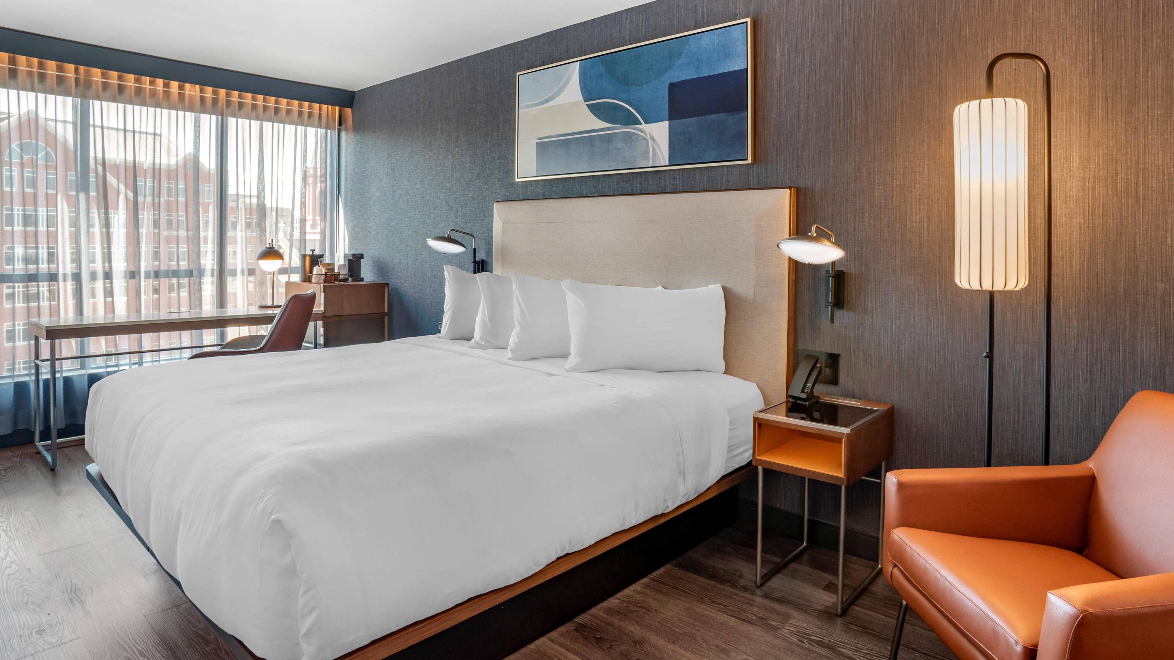 King Room,1248842020:JPEG