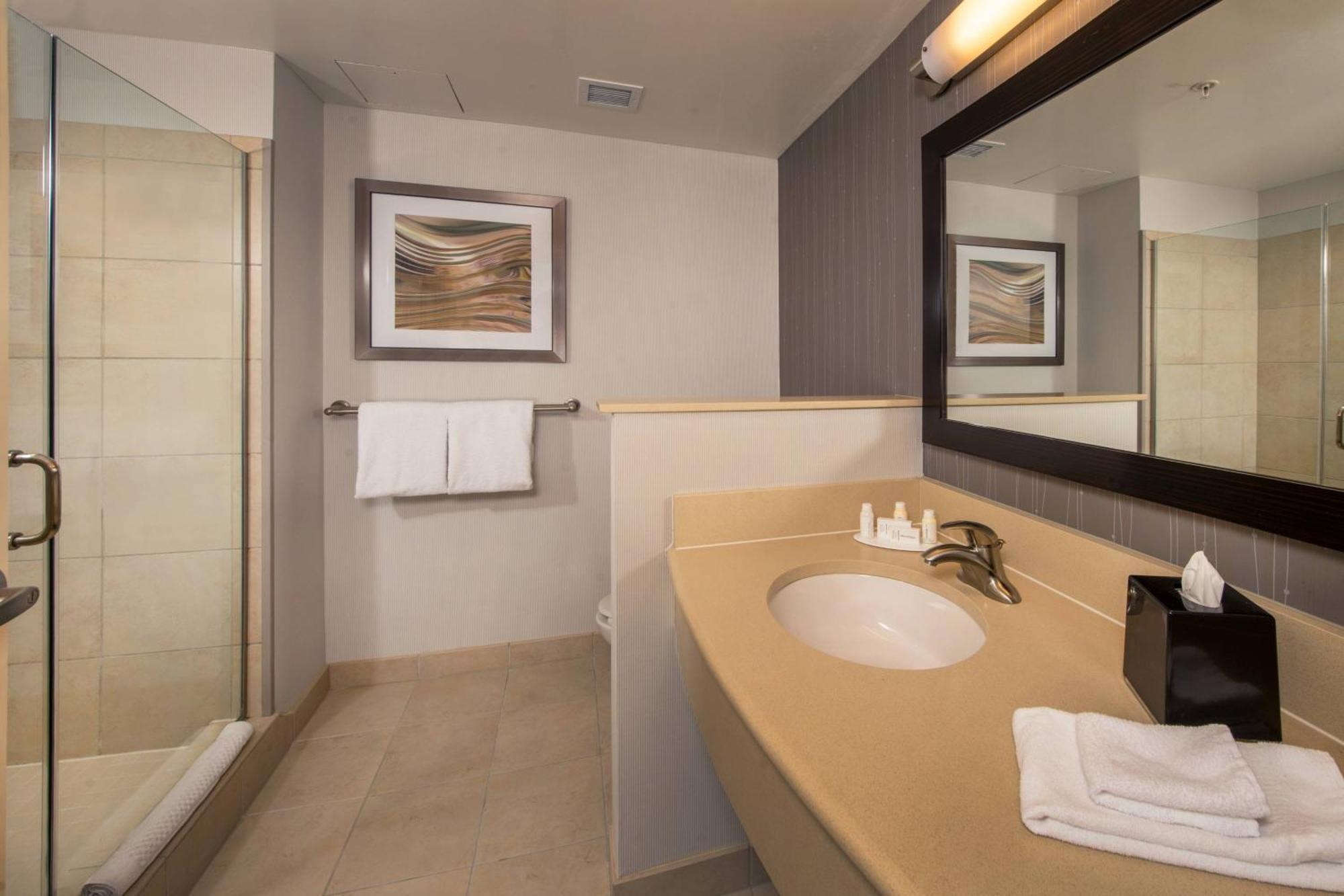 King Room Bathtub Sofa Bed Mobility Access