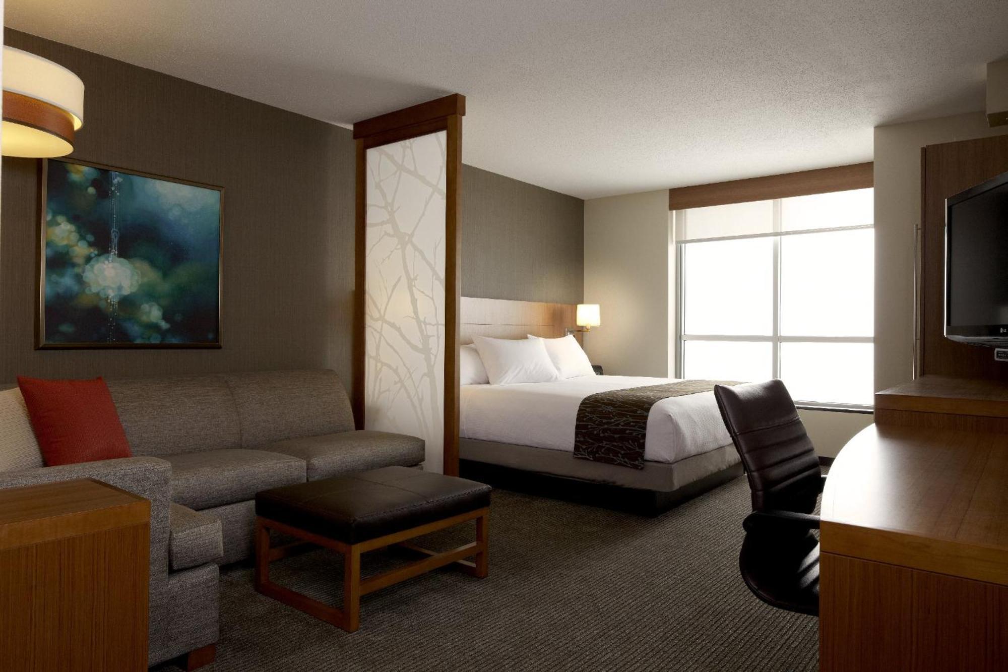 King Room Sofa Bed High Floor