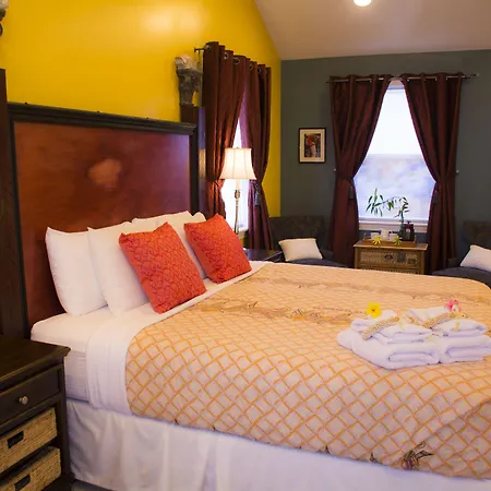 Malolo Bed And Breakfast-3
